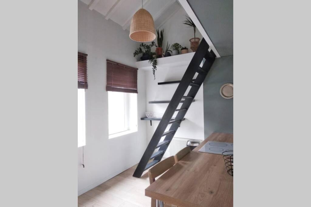 Duplex Cosy Waz'Aime Proximite Commerces Et Metro Cormontaigne Ou Gambetta Appartement Rijsel Buitenkant foto